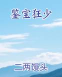 鉴宝狂少小说下载