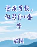 贵族男子学院小说