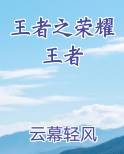王者之荣耀王者电子书