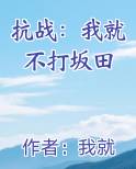 抗战：我就不打坂田免费小说
