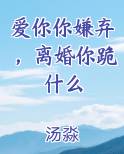 爱你你嫌弃，离婚你跪什么小说全文免费阅读