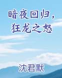暗夜回归，狂龙之怒